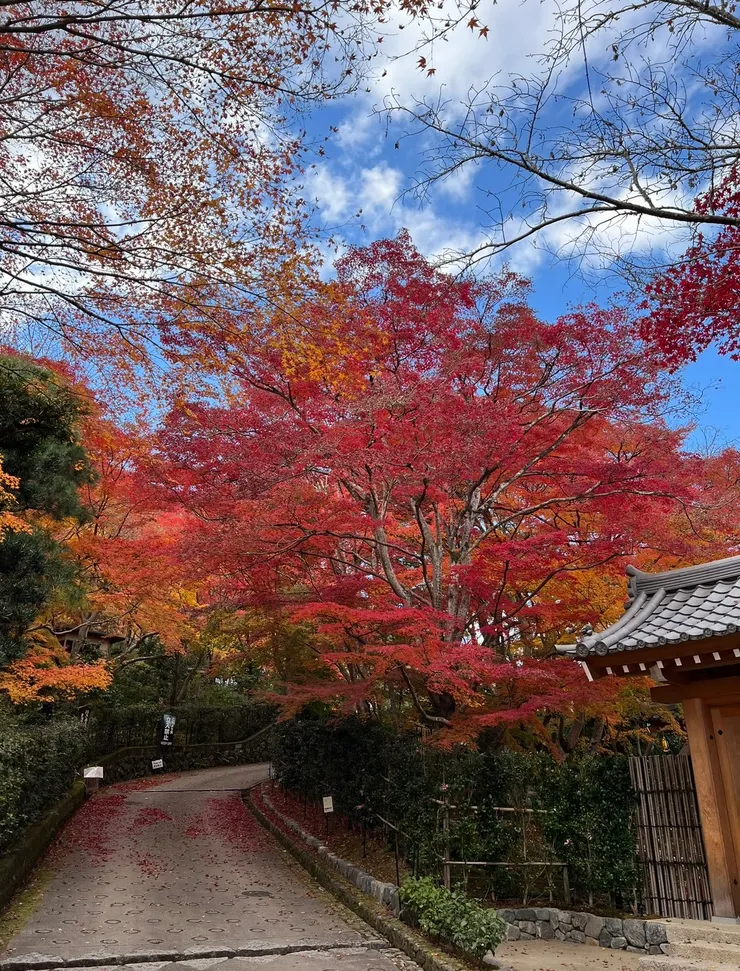 下山的小徑依舊滿滿驚喜