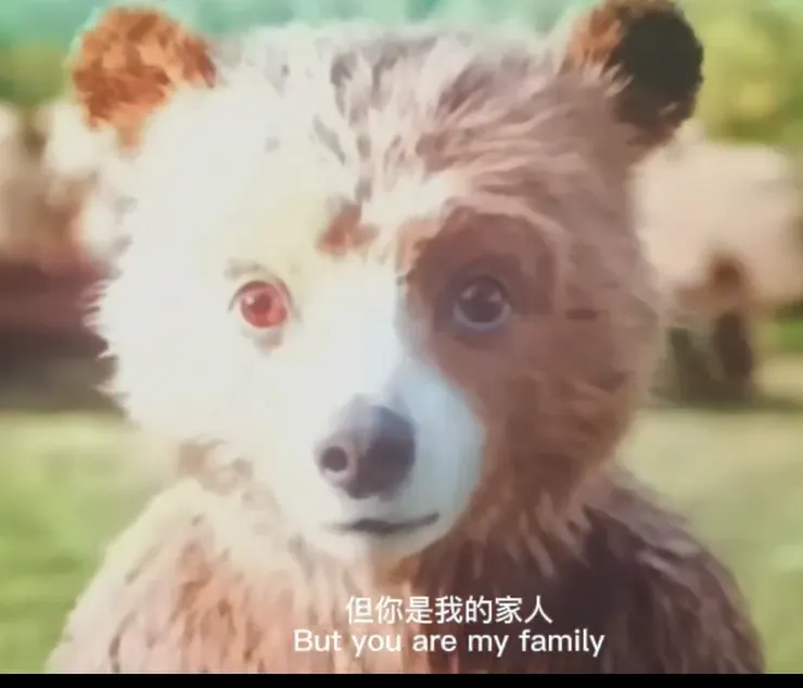 柏靈頓熊對家人的選擇(來源:電影劇照)