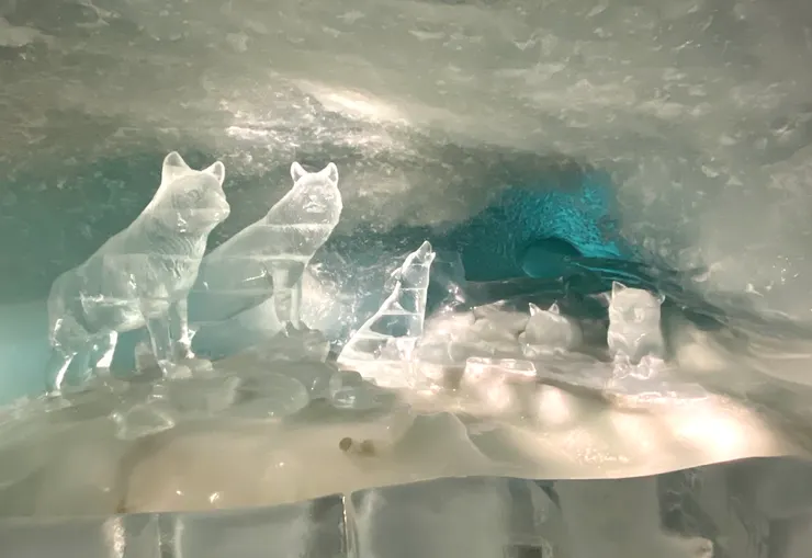 比較接近真實世界的狼