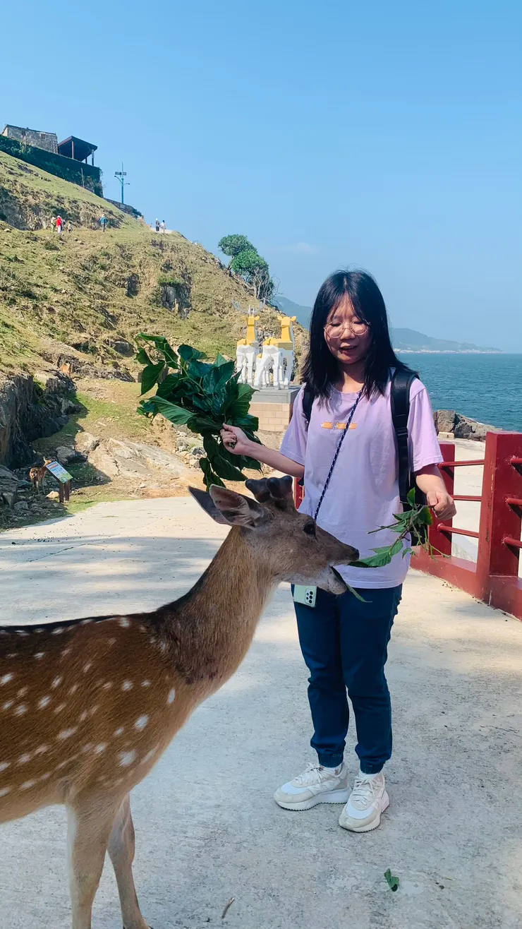 心甘情願被鹿包圍,因此寸步難行。