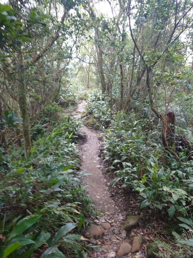 過了二格山往貓空方向路況簡單好走許多，無任何峭壁