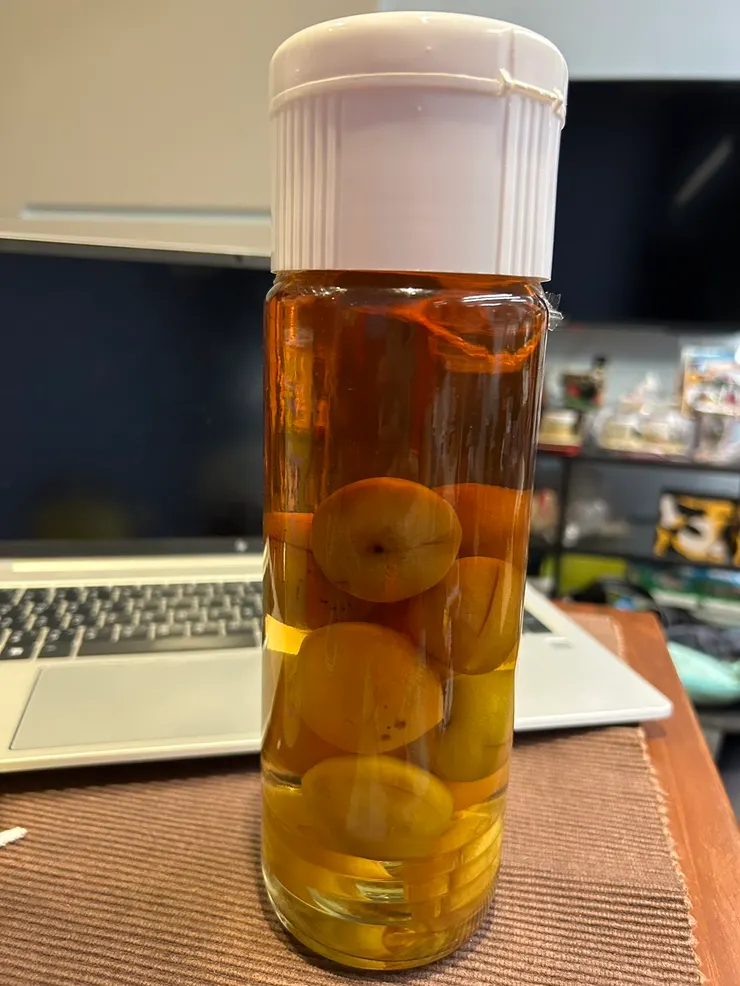 去年自製梅酒 (2024年4月)