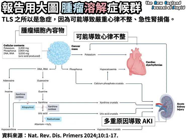 腫瘤溶解症候群可能造成 AKI 或心律不整的急性併發症。