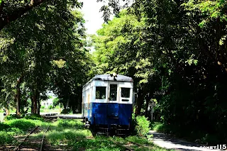 草埔路附近的綠色隧道是觀光路線前段的特色風景