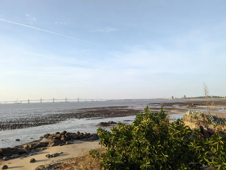 能看到廣闊的海景