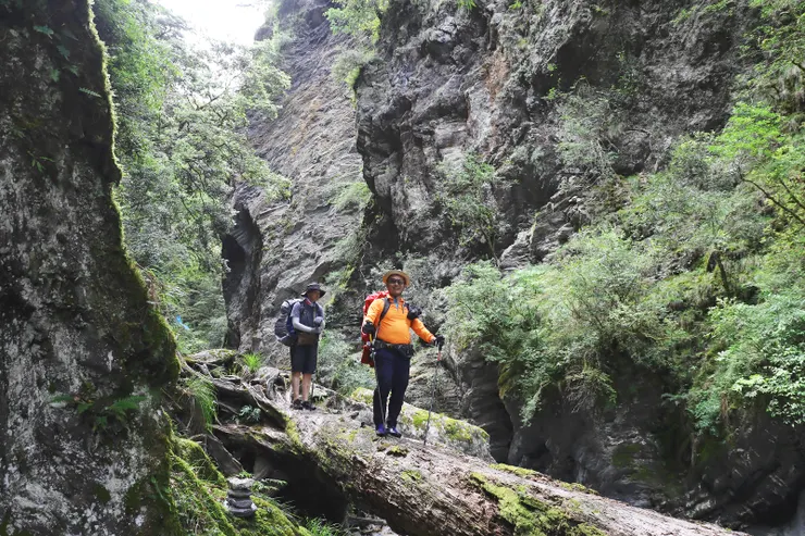 ▲橫渡倒木及深潭