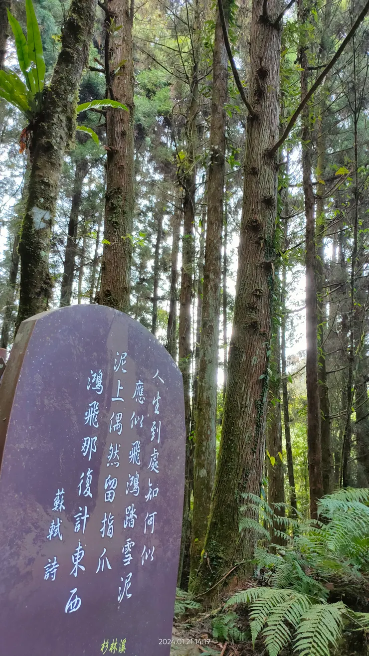 困難終究過去，雨過必然天晴
