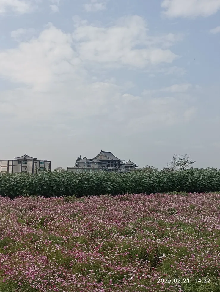 正氣雜然賦流形