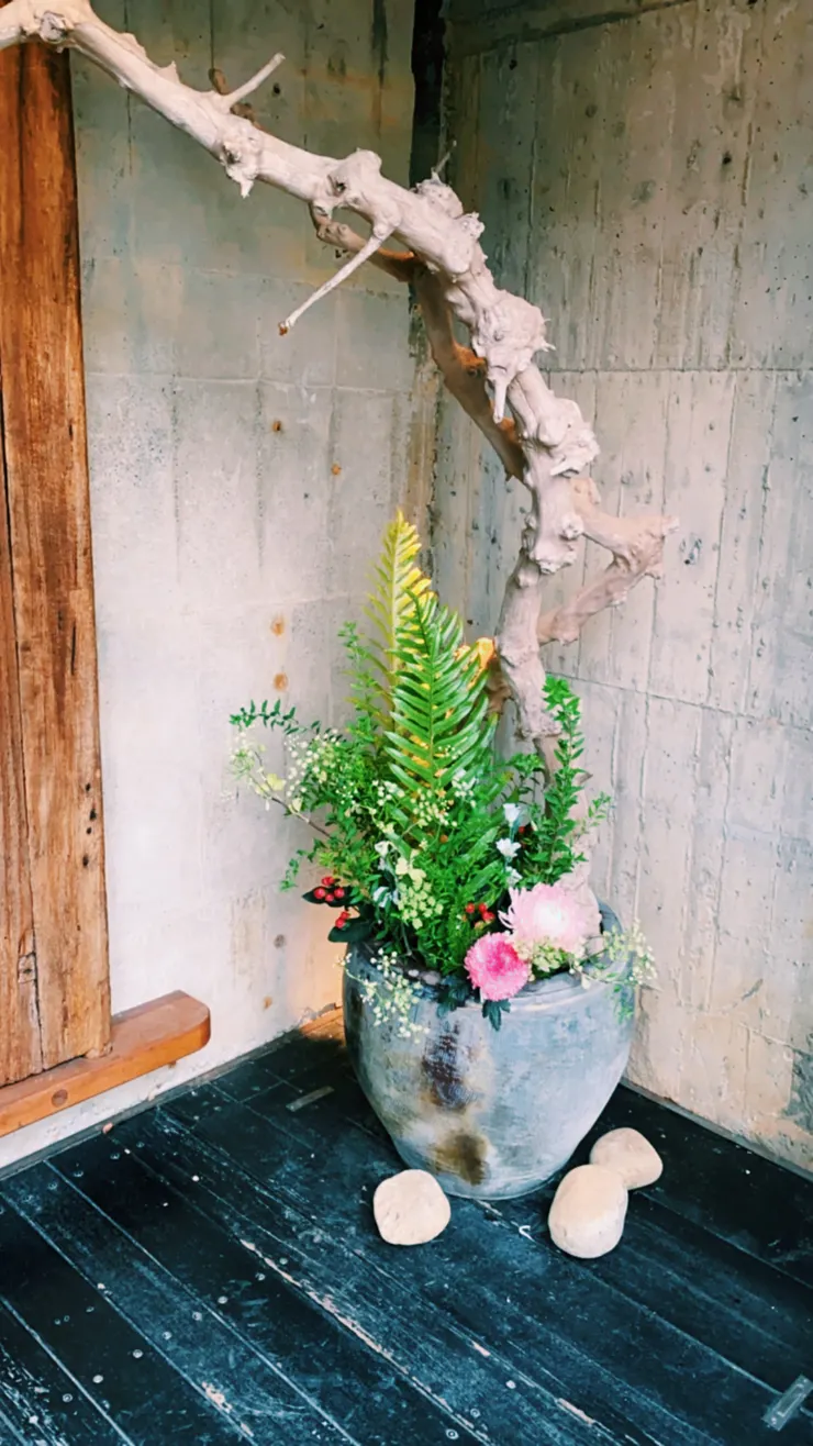台中最美餐廳飛花落院