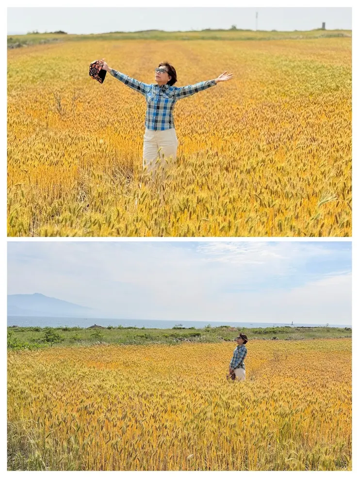 每年5-7月都會舉辦青稞嘉年華