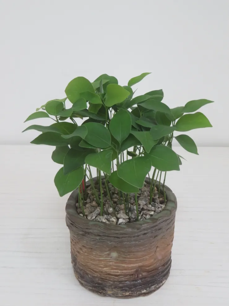 萬里豆豆心靈成長營112.07.14