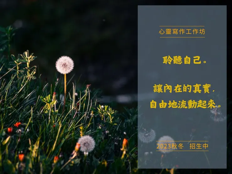 圖片來源:Pexels;攝影師:Janusz Walczak