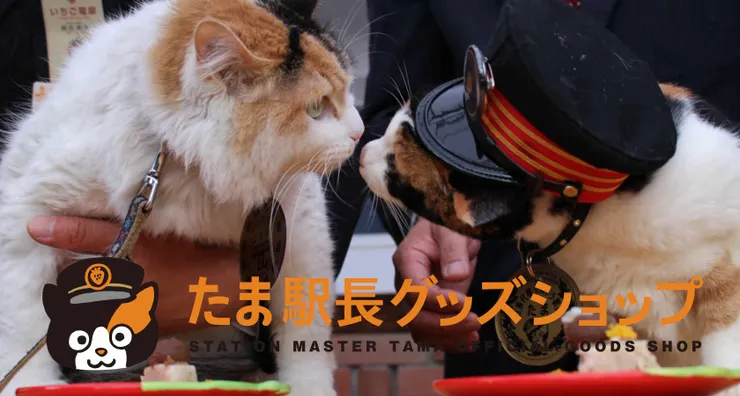 小玉站長線上商城