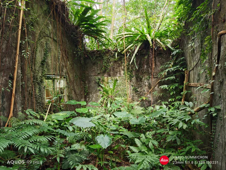 裕峰煤礦事務所遺址內部。使用23mm標準鏡拍攝時,陽光剛好灑落,讓這張作品成為這系列影像中,我覺得最有「德味」的一張。(SHARP AQUOS R9 pro,23mm)