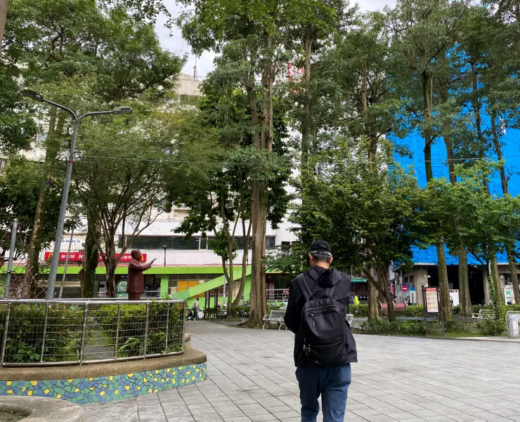 景行公園內有多棵黑板樹因符合高於15公尺的舊法令條件，因此被列為受保護樹木。