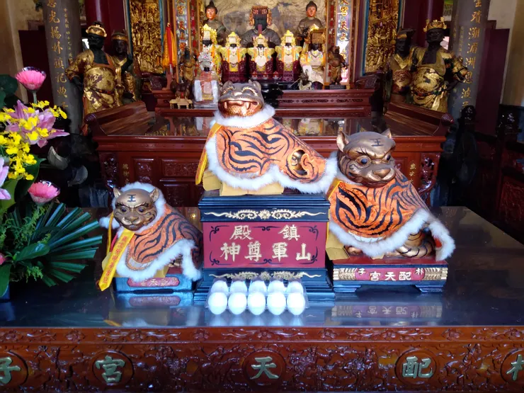 嘉義朴子配天宮媽祖面前的可愛台灣虎爺。有別於一般放在桌下祭拜，這裡的虎爺是被尊放在桌上，目光朝天而非向地。這些可愛小小的神獸，還有好多中國沒有的傳說與故事呢。（照片版權皆屬作者本人所有，請勿轉載盜用。）