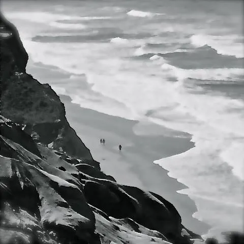 Photo by David Whyte