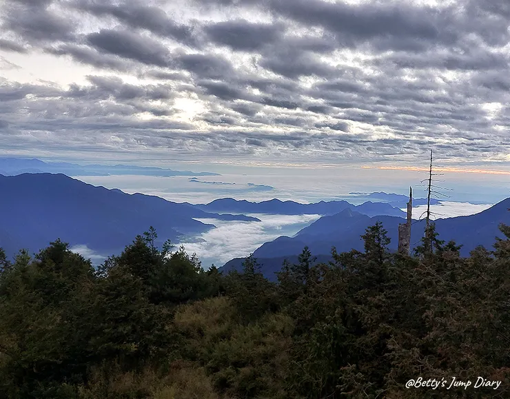 ▲台中「大雪山國家森林遊樂區」/圖片來源：Betty's Jump Diary