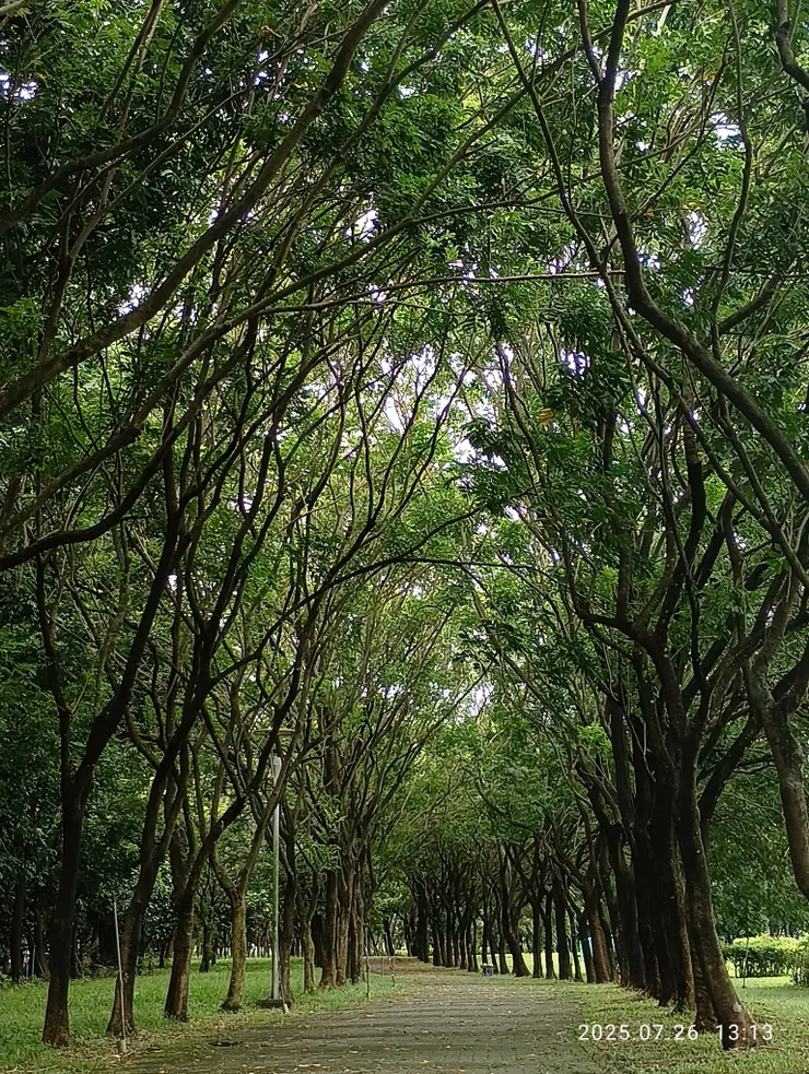 遠離人間今古遊