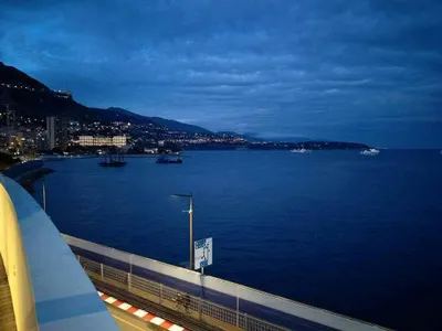 生命的美麗與哀愁