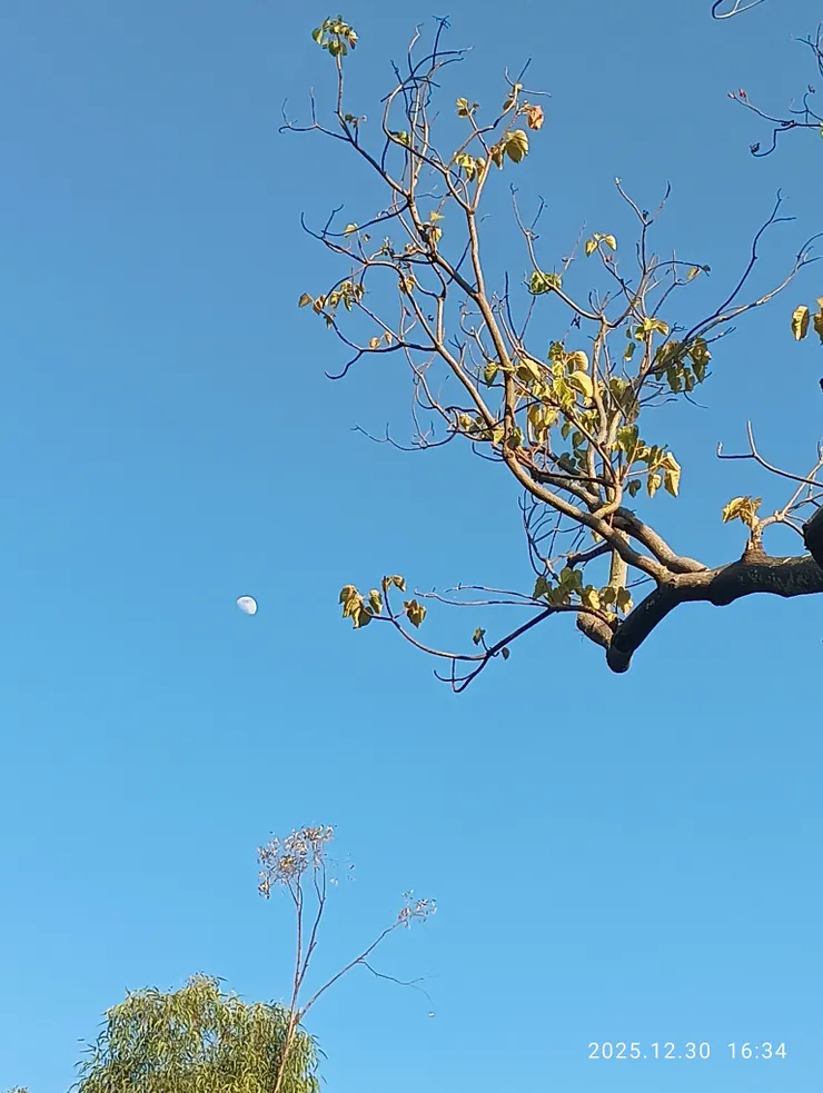 弦月掛，皆自拍攝