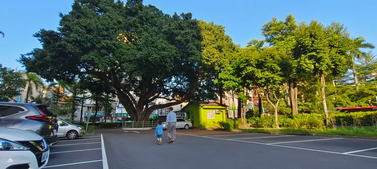 【停車場阿公牽著孫子走過老榕樹,或許他們正要去探阿嬤的病。】