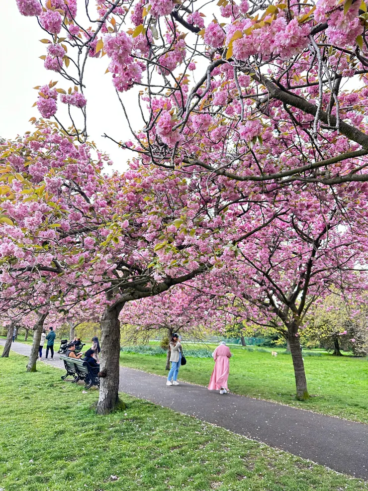 greenwich park 