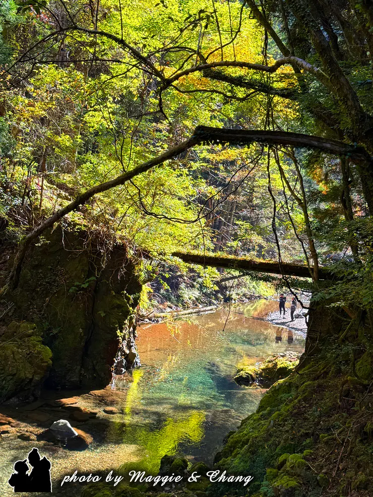 蛇形地藏位於三岔路，需先向前行一小段才能到達。蓋章後轉往湯川王子，途中經湯川川先穿越這座木橋。