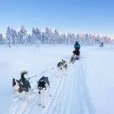 Husky experience (source - visit Inari)