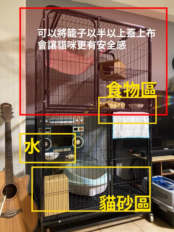 親訓貓咪建議的空間