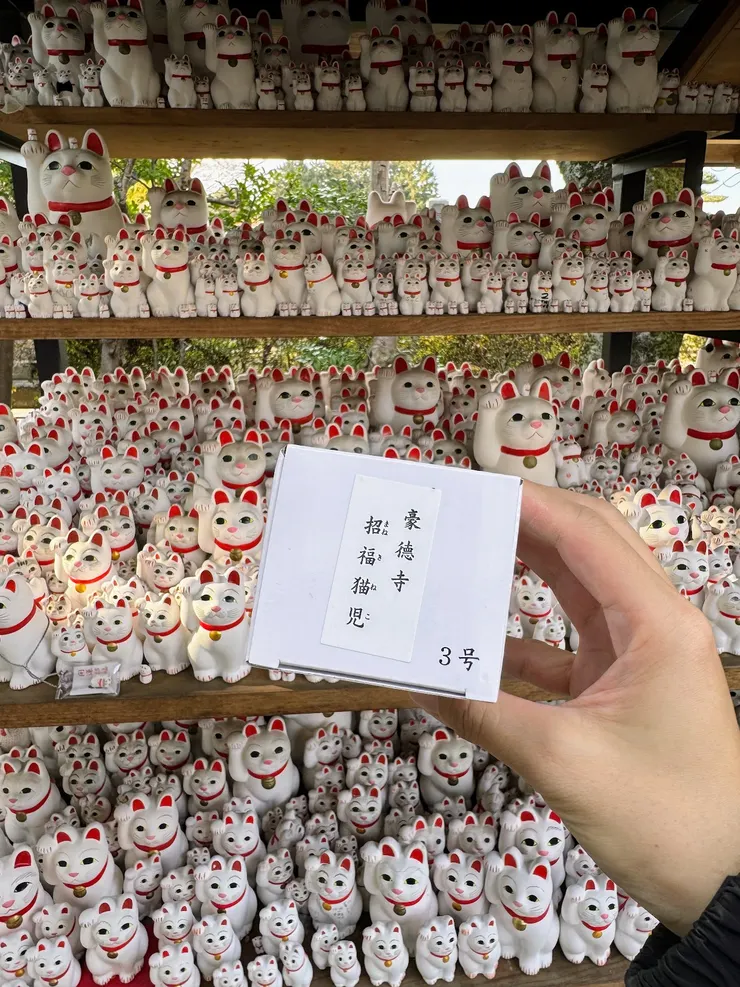 希望招財貓們能爲我的願望注入滿滿的正面能量😆