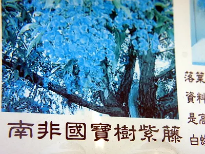 src