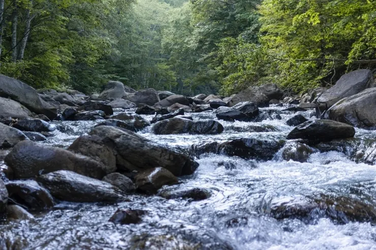 岩石 (圖片來自Photo-ac)