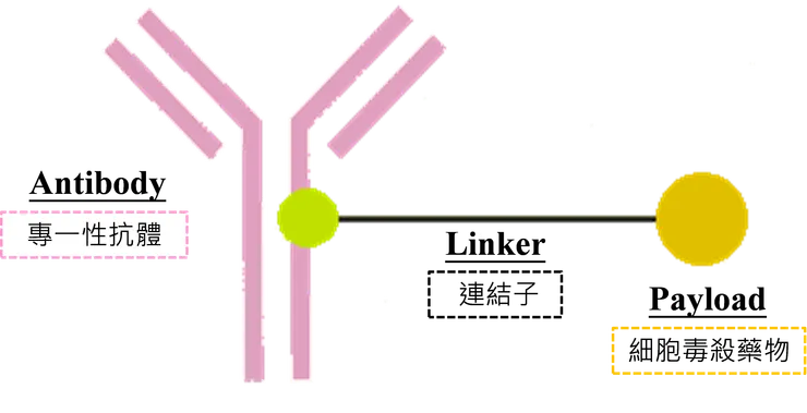 資料來源：DCB產資組ITIS研究團隊／經濟部技術處