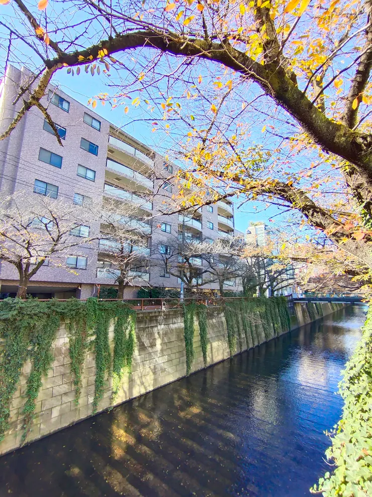 中目黑很值得前來