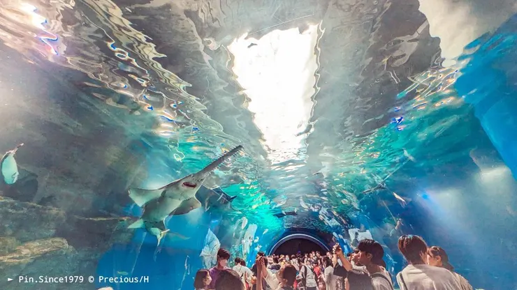 藉由天窗設計，引入大量自然光。