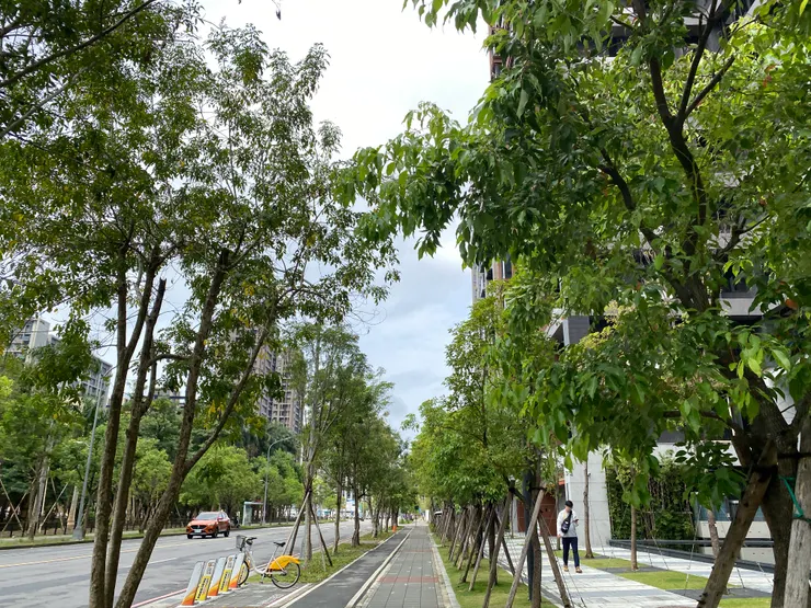 筆直的道路已不見過往的田園記憶