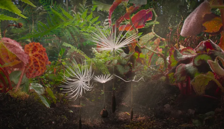 《蒲公英的奇幻漂流》劇照／金馬影展提供
