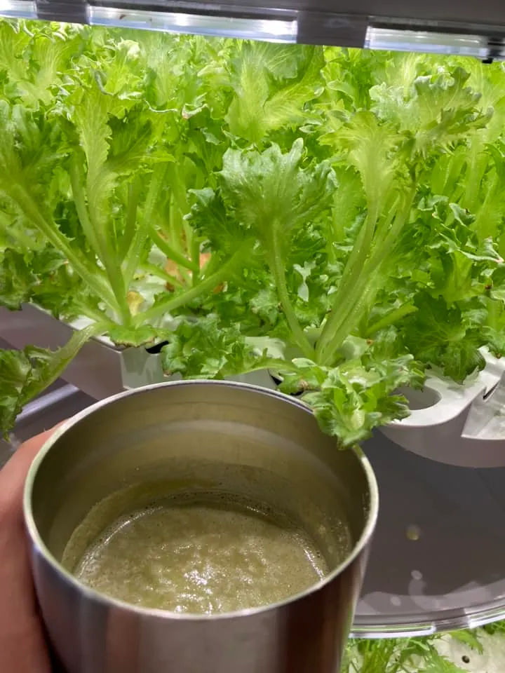 均衡吸收食材~幸運樹綠拿鐵