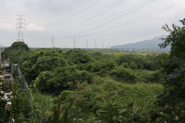 從樹叢缺口看像現在的高架山線