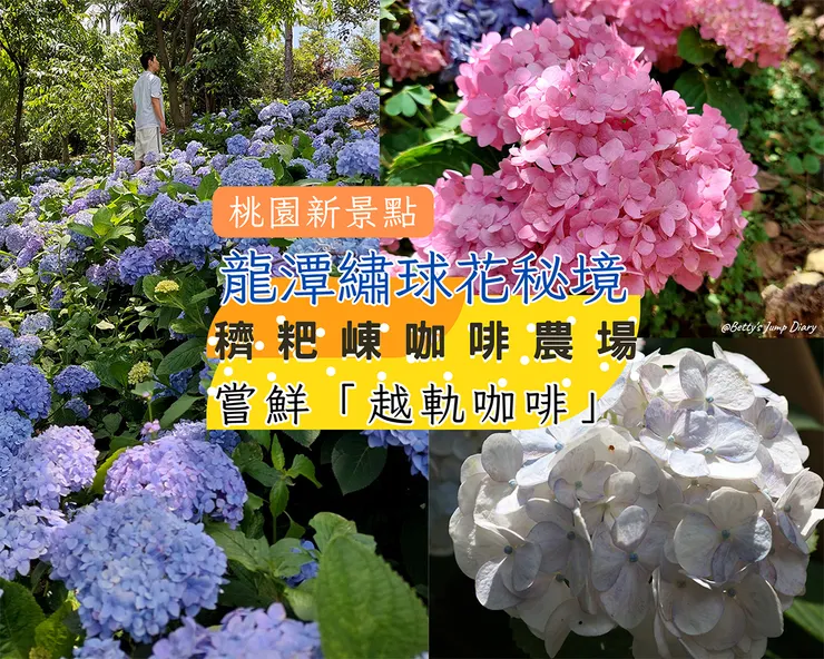 ▲桃園龍潭「穧粑崠咖啡農場」、「越軌咖啡」/ 圖片來源：Betty's Jump Diary