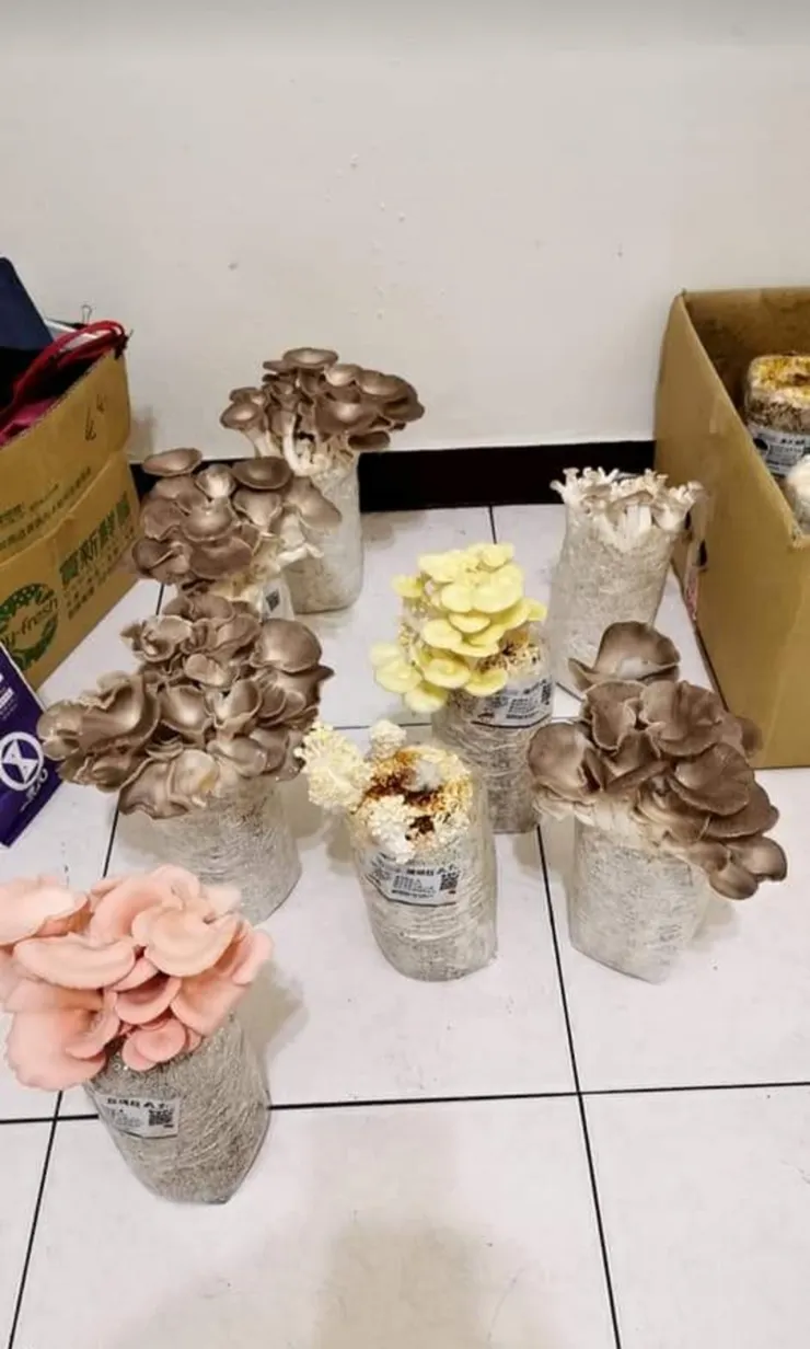 成品讓自己開心又療癒！