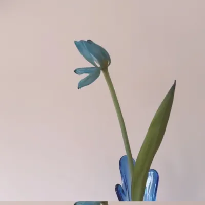 Kimmie的沙龍