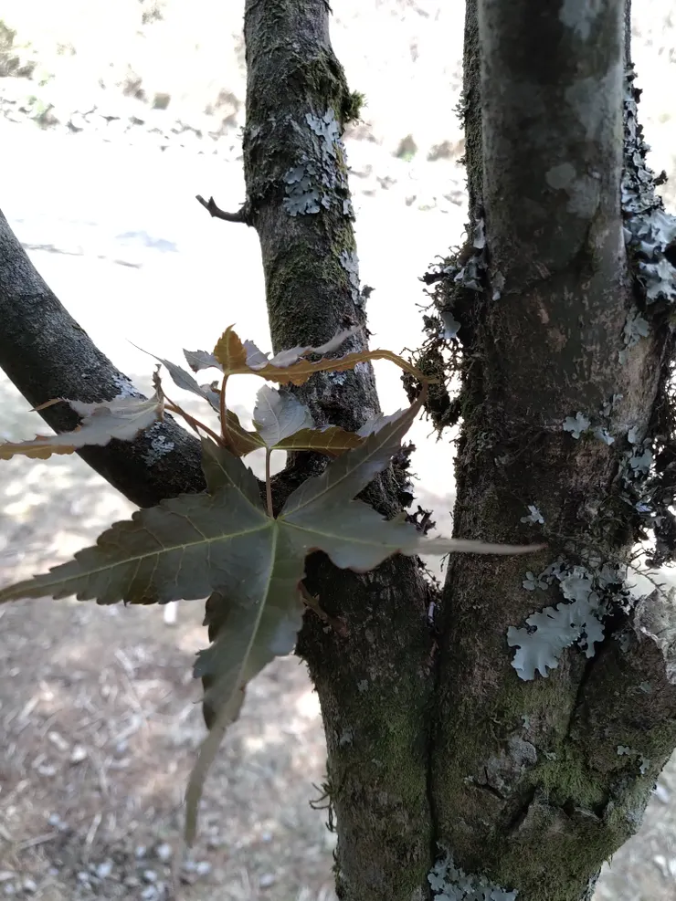 Photoprapher by Hsun