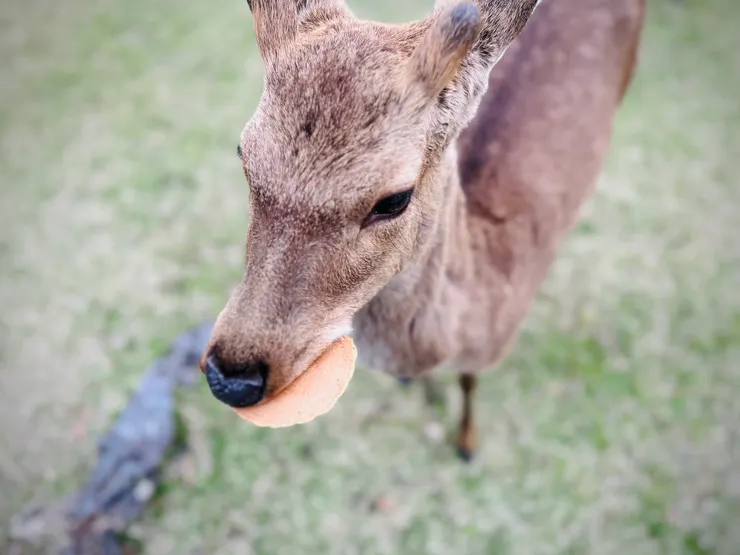 各種莫名其妙的照片 get !