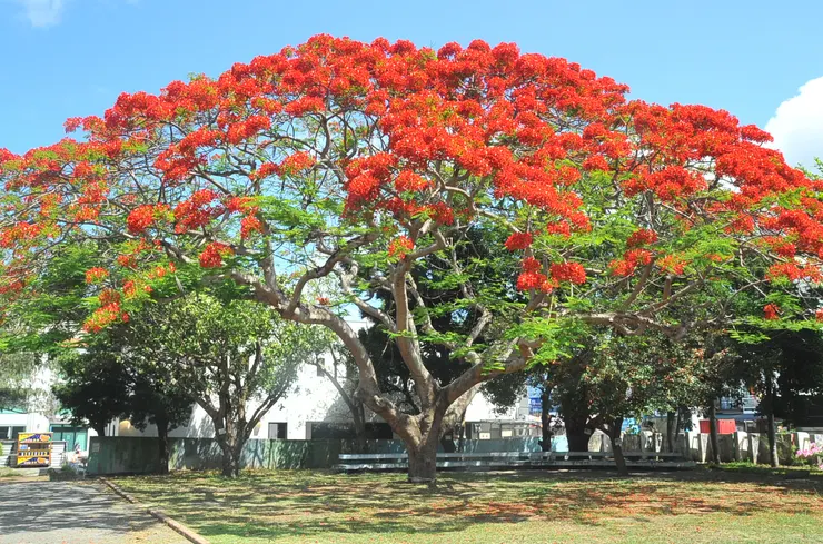 圖片來源：https://www.allnews.tw/news/45160