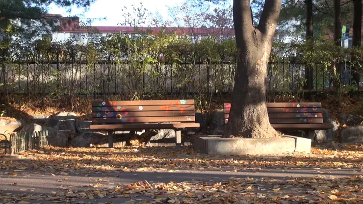 《蜻蜓飛過的歲月》/台灣國際紀錄片影展