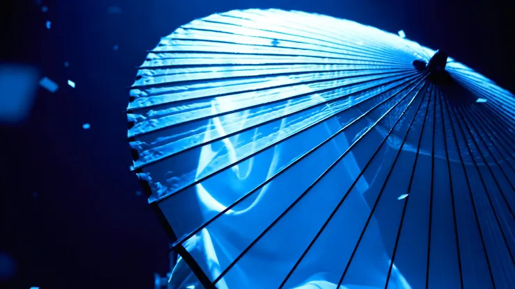 如夢似幻的完美表演,背後究竟藏著多少代價。