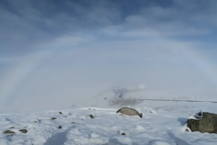 陪著我們到天文台的霧虹,在此分道揚鑣