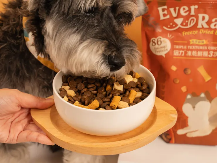 倍力在萬聖節檔期祭出結合南瓜包的「搗蛋鬼零食組」與「萬聖挑嘴狗狗組」，內含頂級凍乾、烘乾零食，讓毛孩享受美味無負擔的萬聖饗宴。（資料來源：倍力寵物健康食品）